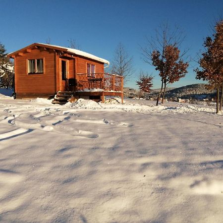 Le Chalet Des Etoiles Champagnac-le-Vieux Exterior photo