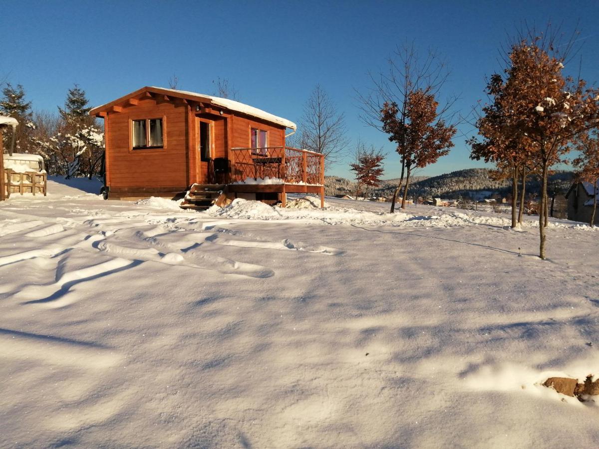 Le Chalet Des Etoiles Champagnac-le-Vieux Exterior photo